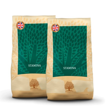 2 x 10 kg UK ESSENTIAL STAMINA